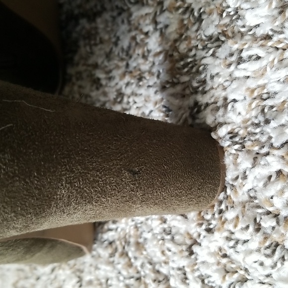 Olive Green Steve Madden Suede-like Lace Front Ankle Boots. - Picture 6 of 7